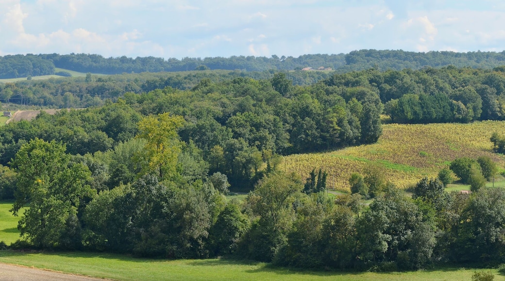 Wooded hills of the South of the Charente department, Saint-Amant-de-Montmoreau, Charente, France.