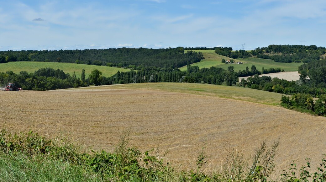Country landscape along road D 143, Vaux-Lavalette, Charente, France.