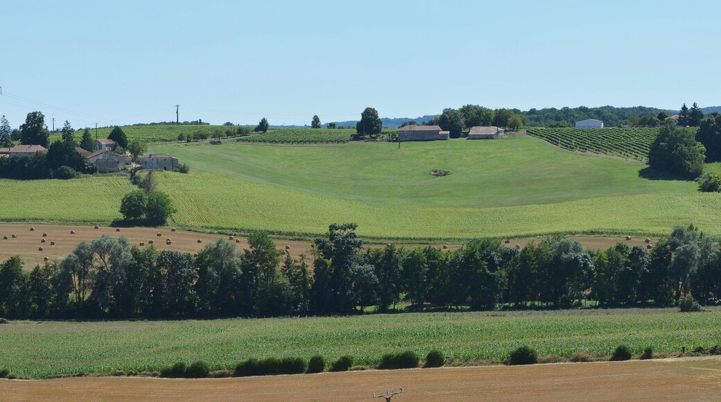 Landscape with hills and trees along the small streamcourse of Rivallis, Vaux-Lavalette, Charente, France.