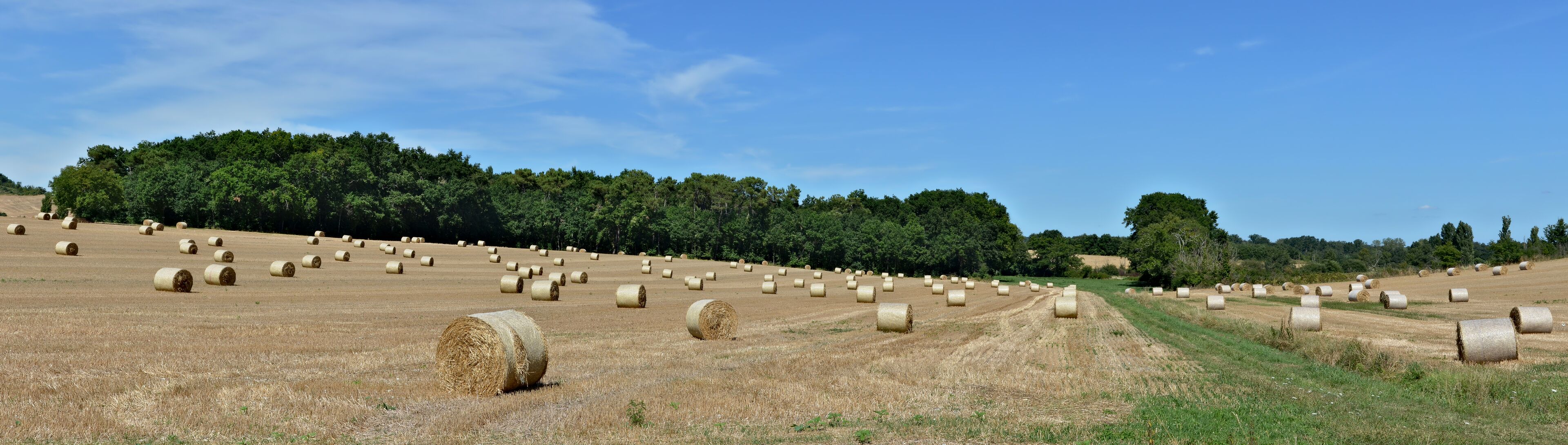 Round balls in a field, Vaux-Lavalette, Charente, France.