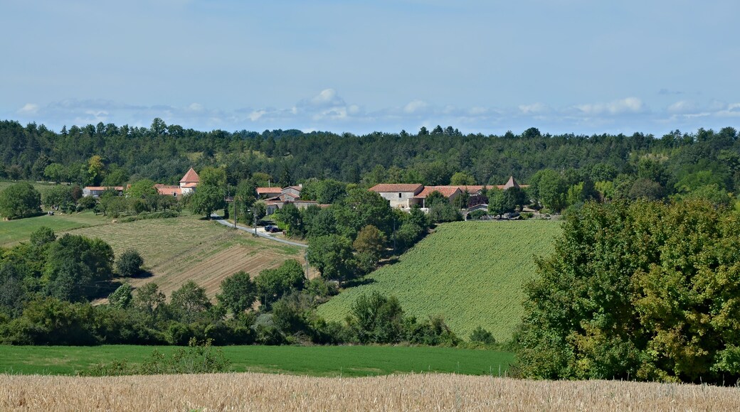 Country landscape with a farmstead, as seen from road D 143, Vaux-Lavalette, Charente, France.