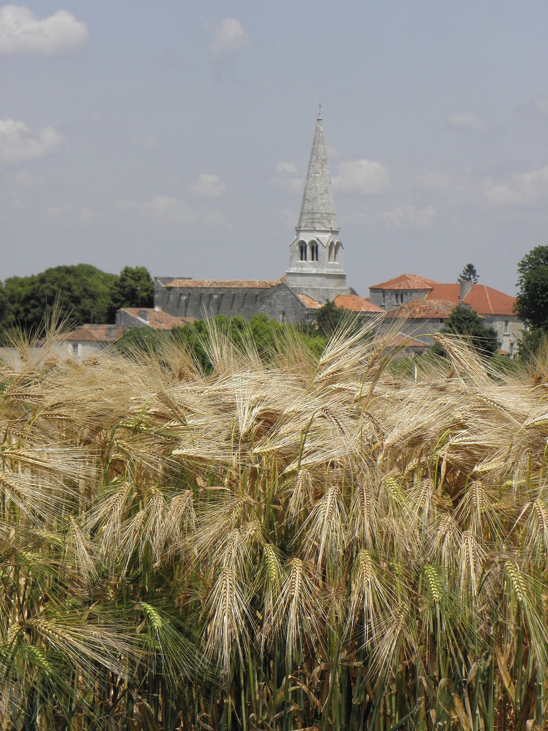 Extérieur de l'église Notre-Dame de Charmant (16).