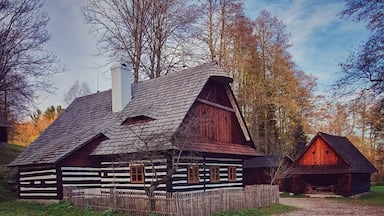 I loved the visit at the Vesely Kopec museum in the highlands of Czech Republic. The houses were beautiful and it was incredible to see how the people lived in past.