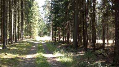 Z Třemešné na Sycherák