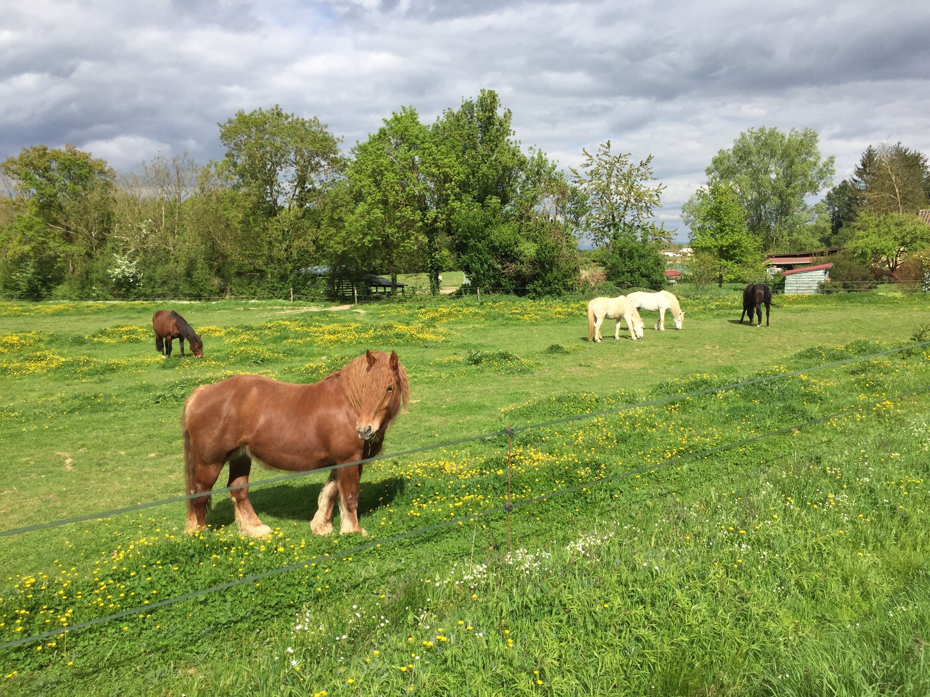 Image du village de Sainte-Olive, dans l'Ain, en France.