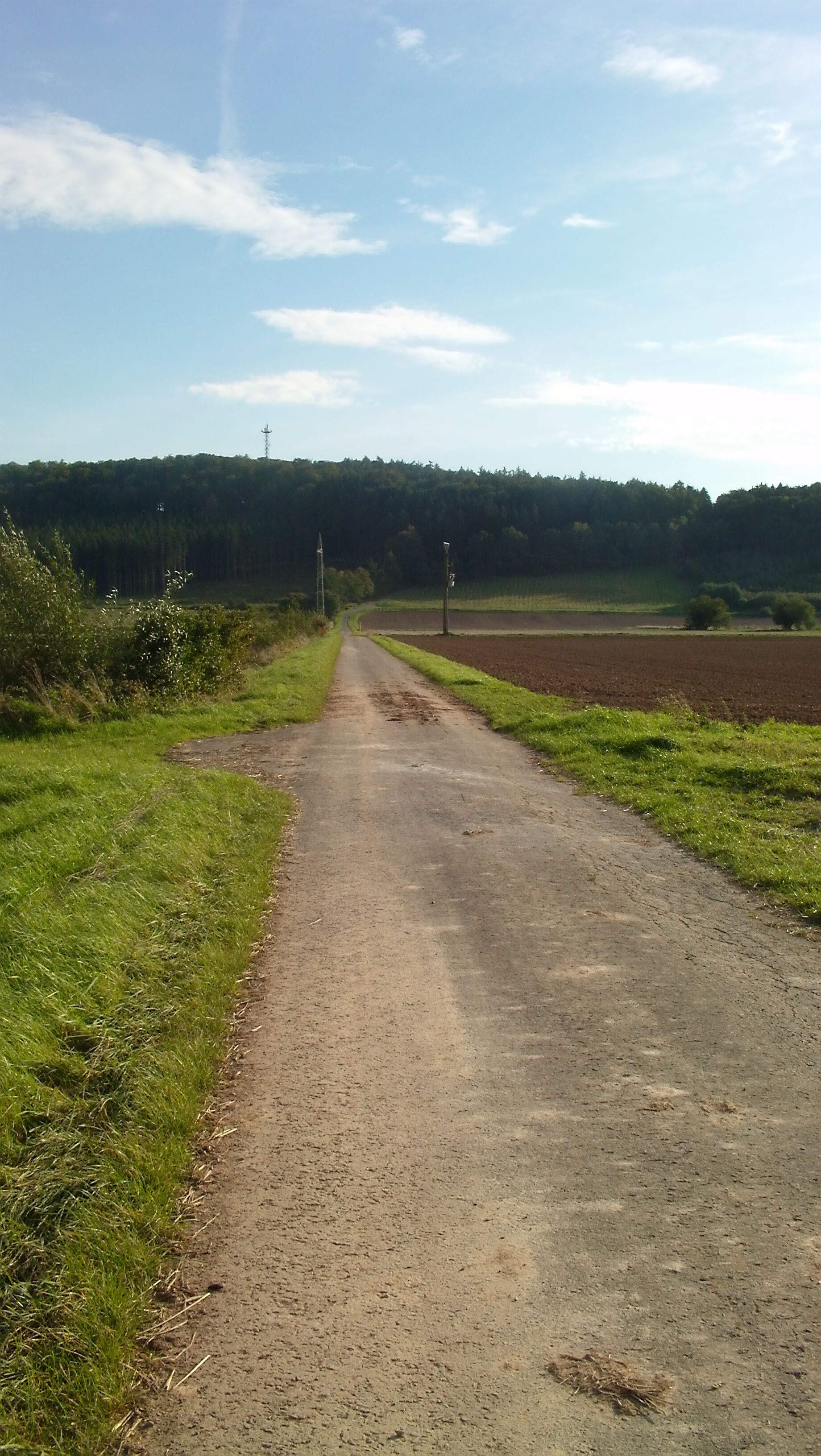 Feldweg in der Nähe von Wulften mit Blick auf den Rotenberg