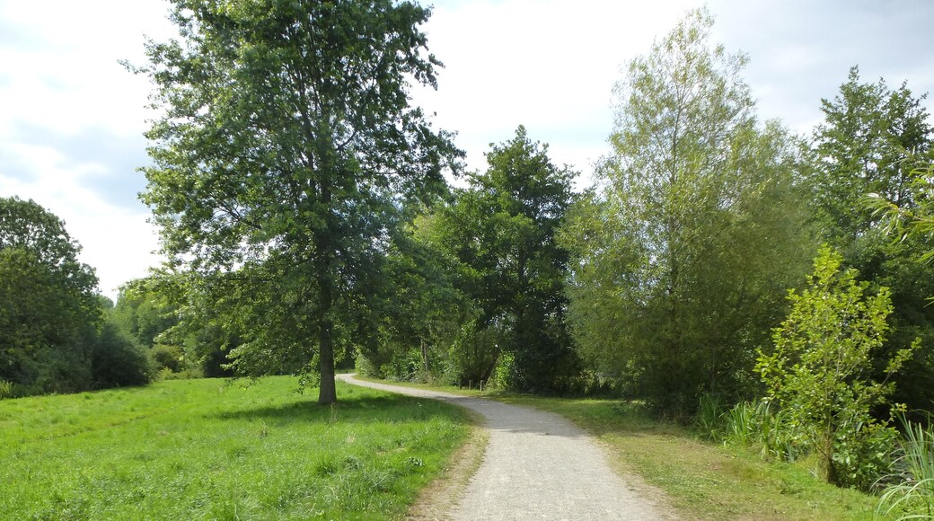 l'etang de la vairie
