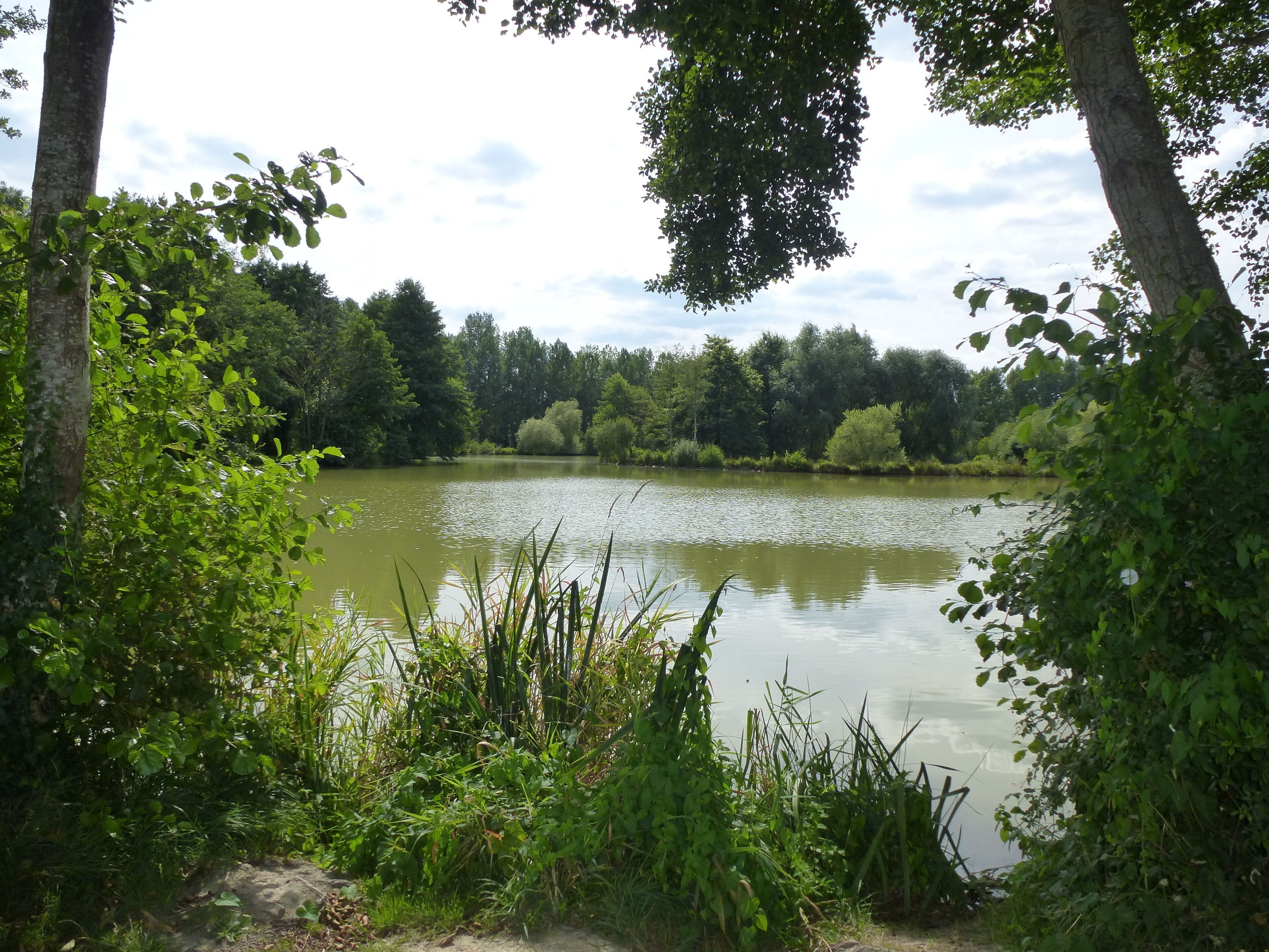 l'etang de la vairie