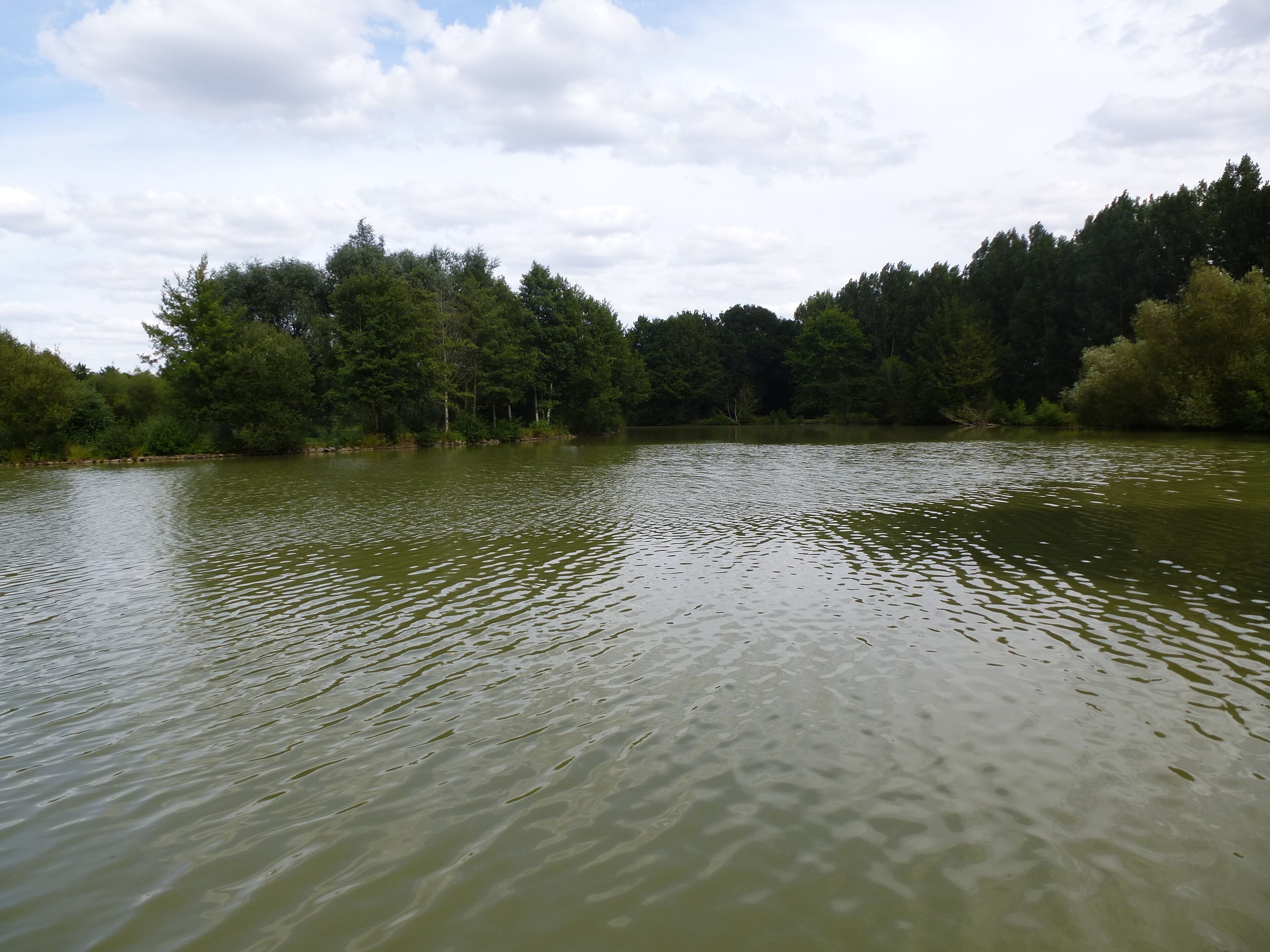 A calm lake surrounded by dense forest and a partly cloudy sky.