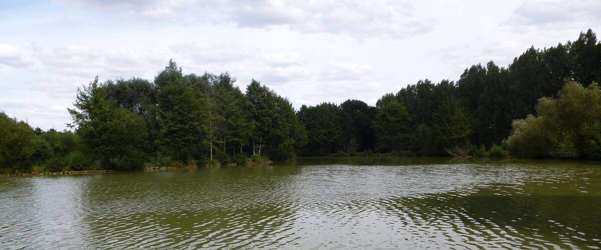 A calm lake surrounded by dense forest and a partly cloudy sky.