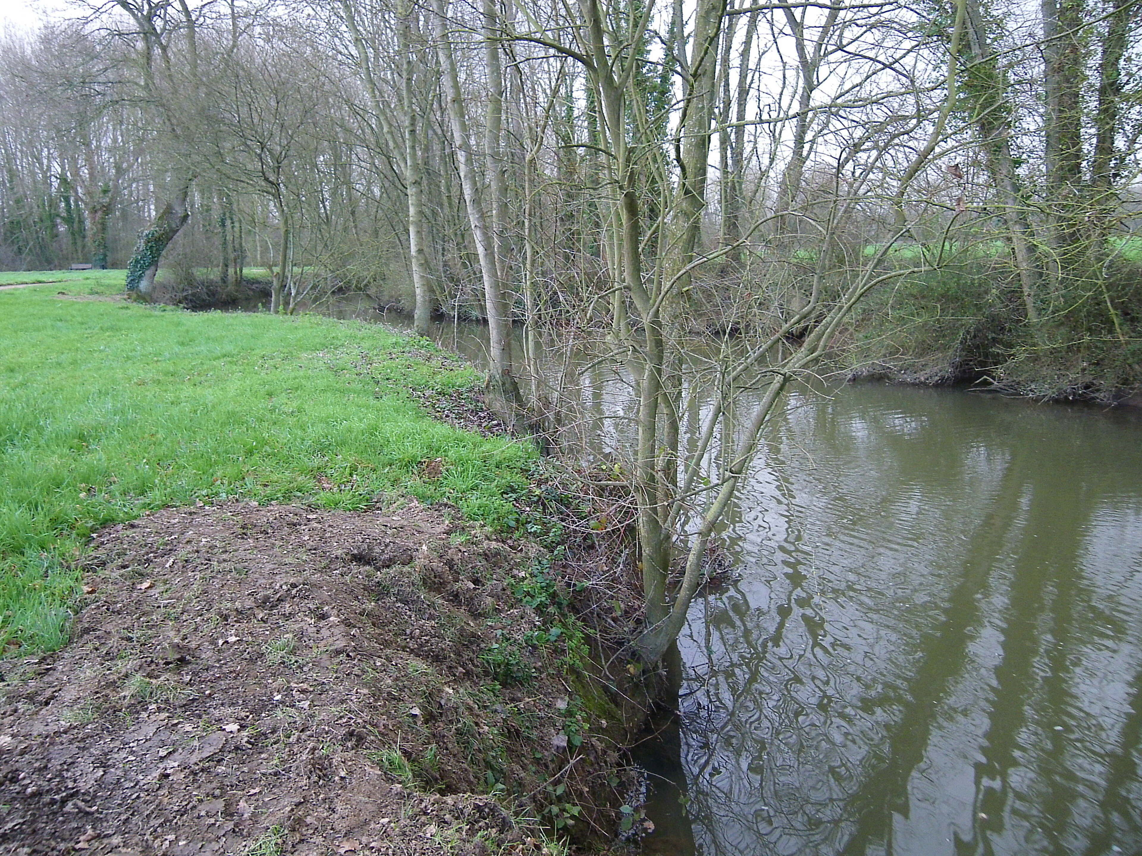 A riverbank with a grassy area and trees.