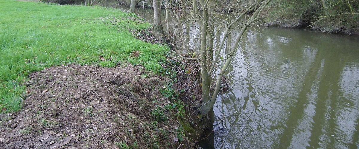 A riverbank with a grassy area and trees.