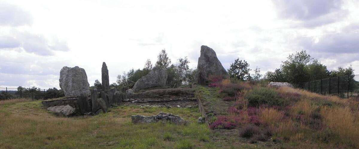 A field with large boulders and a fence in the background.