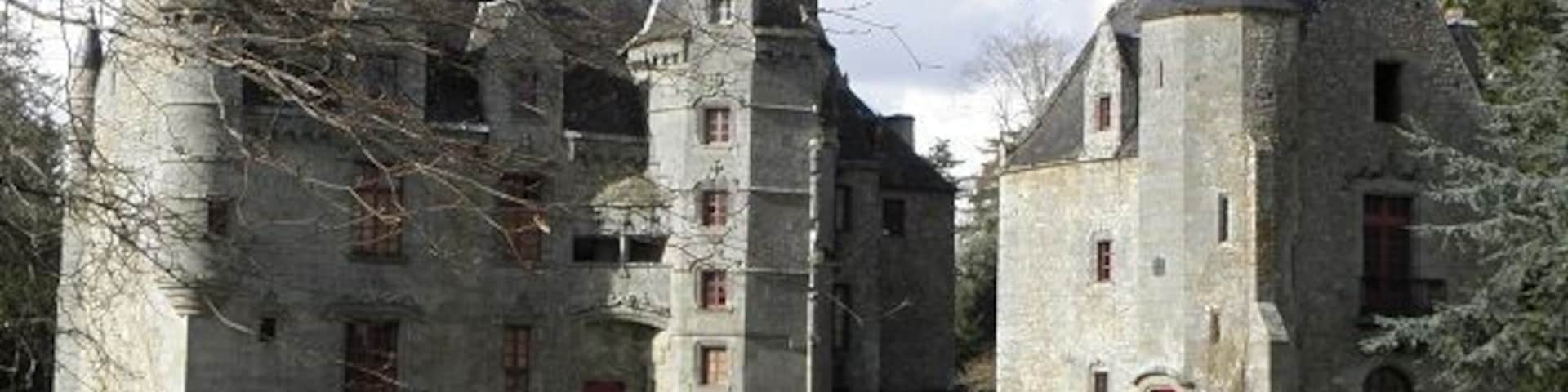 Château de Lanrigan (35).
