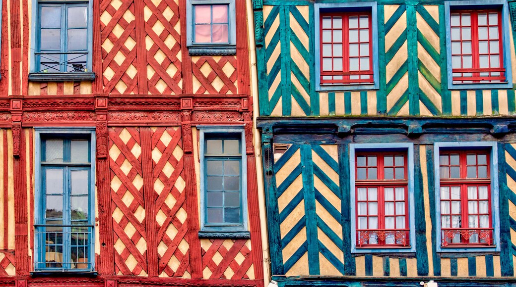 Half-timbered houses