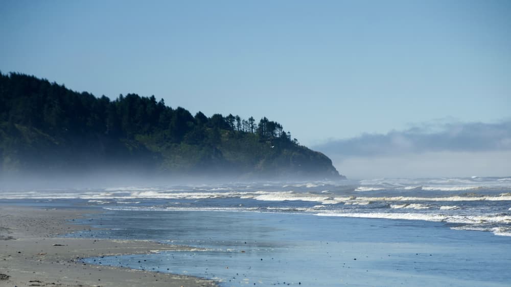Beach between North Head Lighthouse and Seaview beach approach - 2