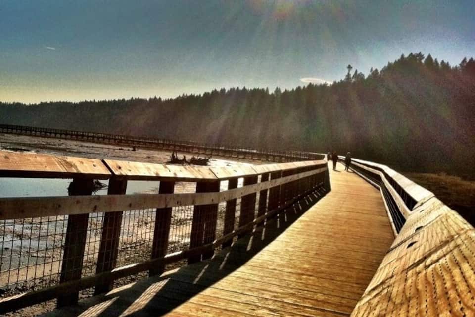 A wooden boardwalk leading to a beach with a clear sky and sun shining.