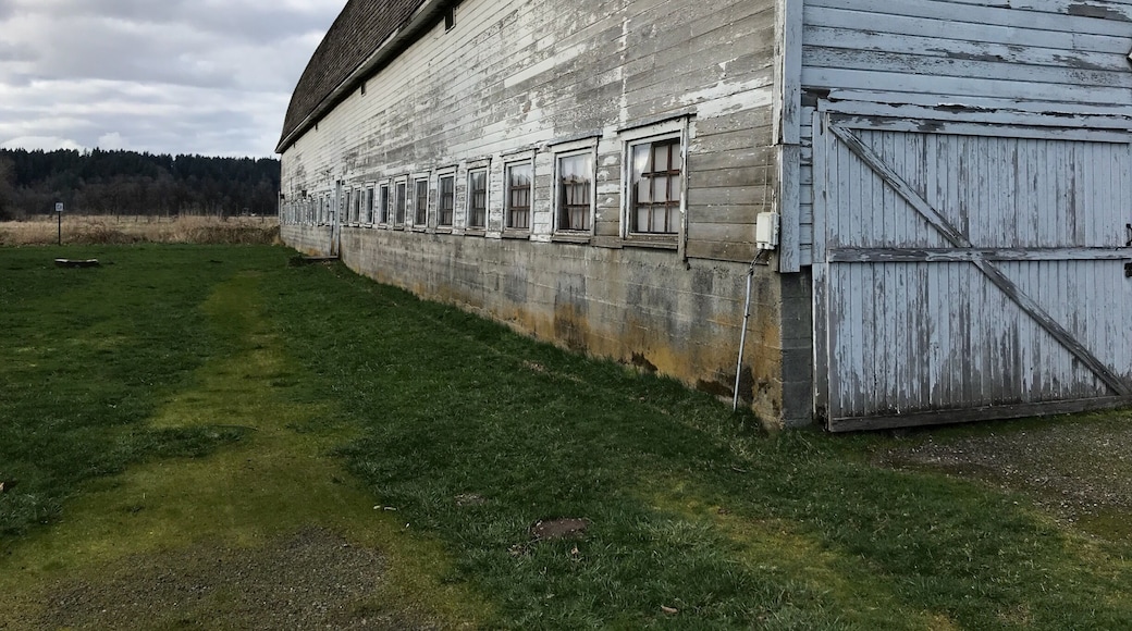 Beautiful wildlife refuge filled with wonderful sights. My most recent trip spotted a large Bald Eagle, a Blue Heron, plenty of ducks and more in the first few minutes of arriving. The twin barns are rustic and great for photography. The park continues further than I have yet to explore. Looking forward to more visits and adventures here.
