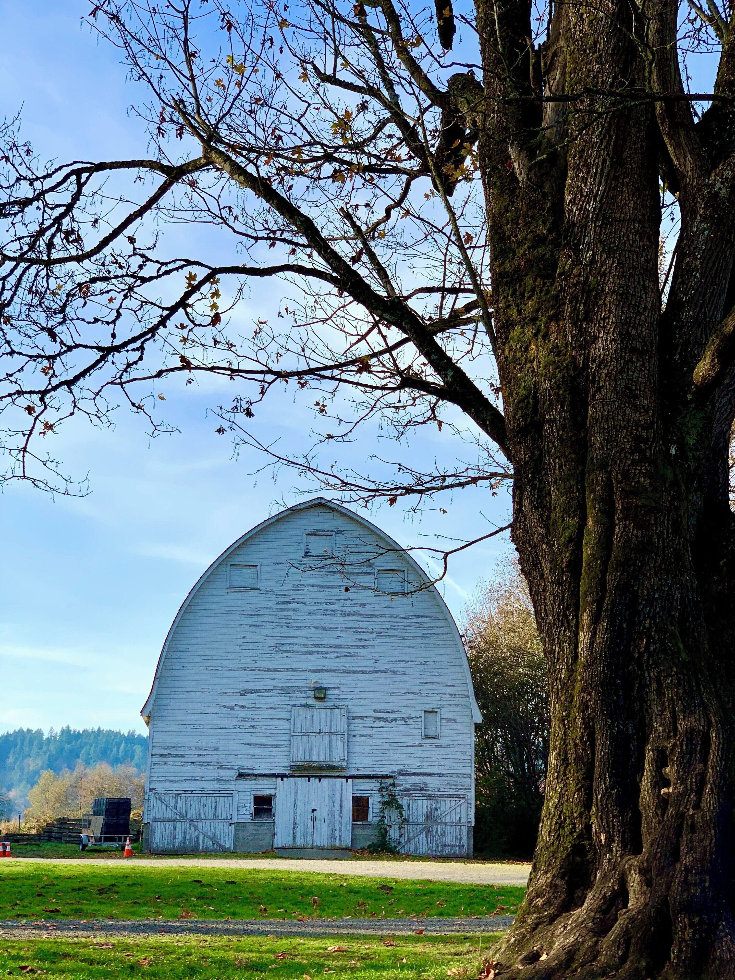 #Trovember #Outdoors