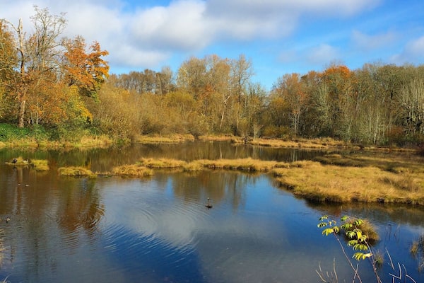A view from the Nisqually Wildlife Refuge.