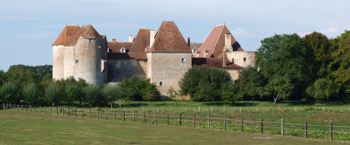 A historic castle with multiple towers and a surrounding grassy field.