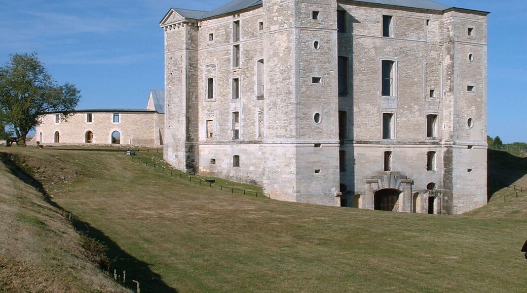 Château de Maulnes, Cruzy-le-Châtel, Yonne