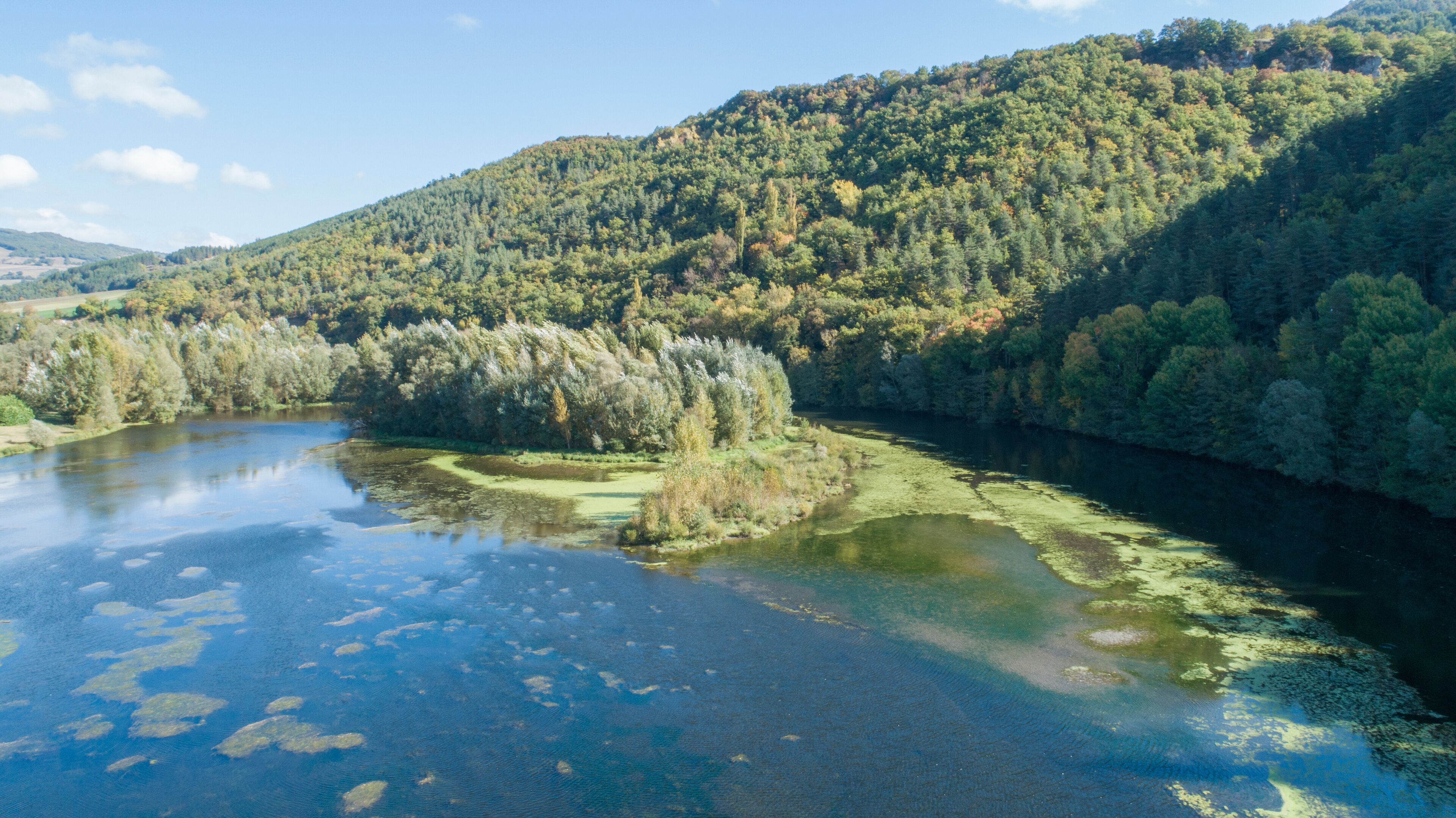 A river surrounded by dense forest and hills.