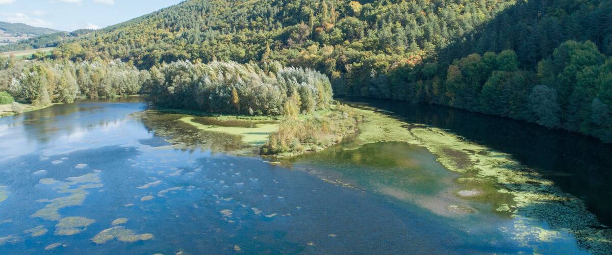 A river surrounded by dense forest and hills.