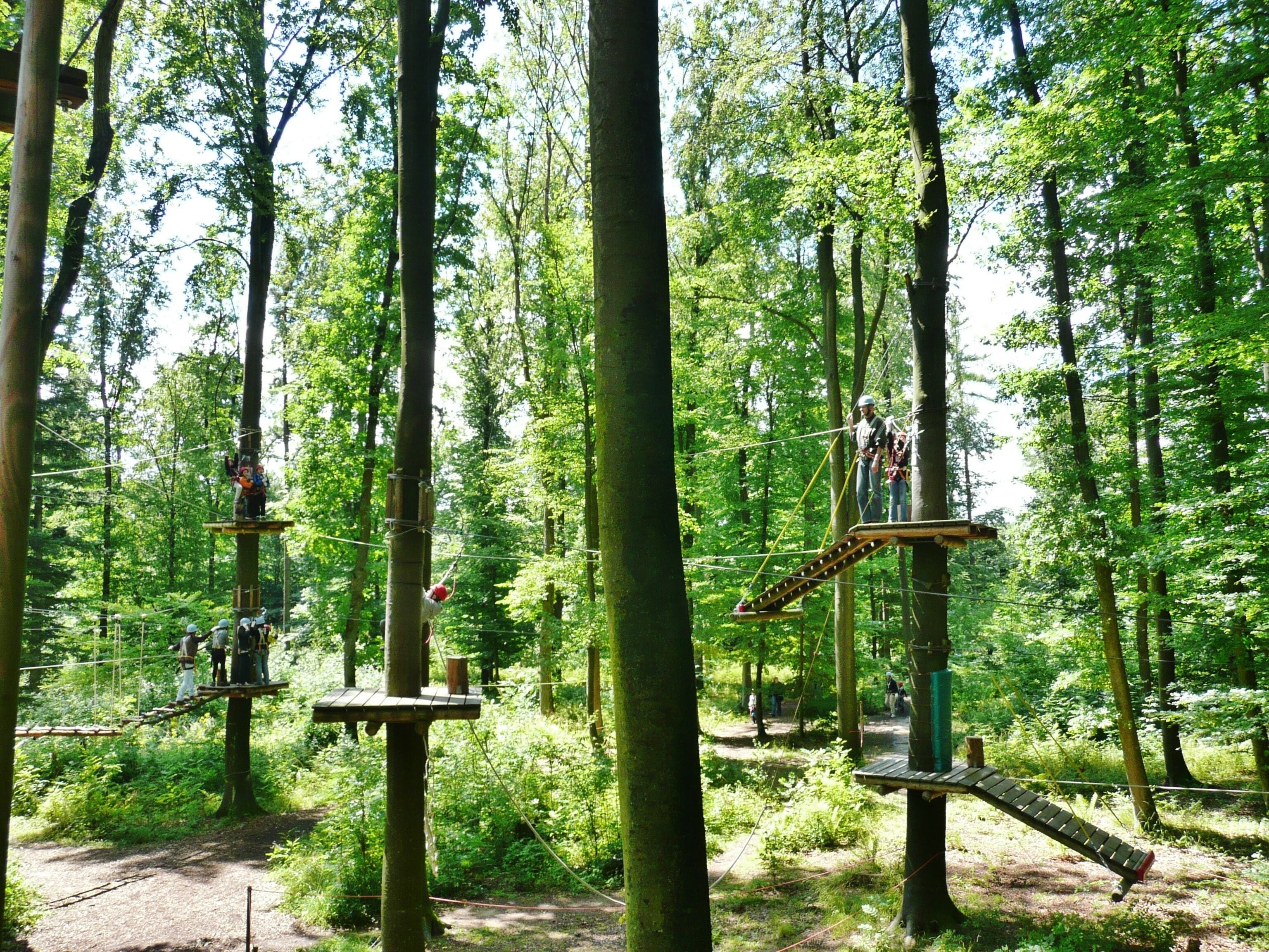 Waldhochseilgarten im Freizeitpark Rutesheim