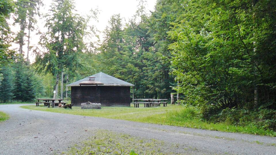 A rustic wooden cabin surrounded by dense forest.