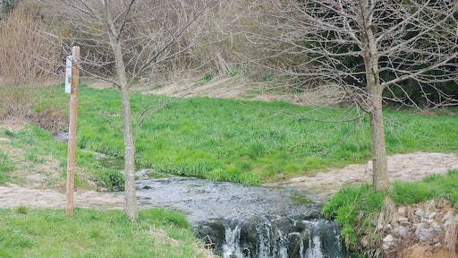 Das Wasser des Eisengriffbaches setzt sich aus gereinigtem Abwasser und gelegentlichem Niederschlagswasser zusammen.