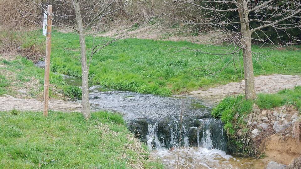 A small stream flowing over rocks, surrounded by green grass and trees.