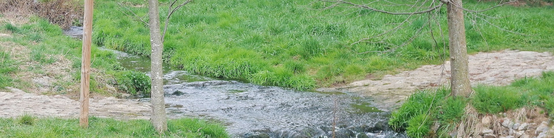 Das Wasser des Eisengriffbaches setzt sich aus gereinigtem Abwasser und gelegentlichem Niederschlagswasser zusammen.