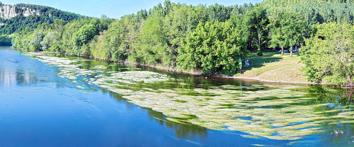 A river with clear water, surrounded by dense green forest and a rocky cliff.