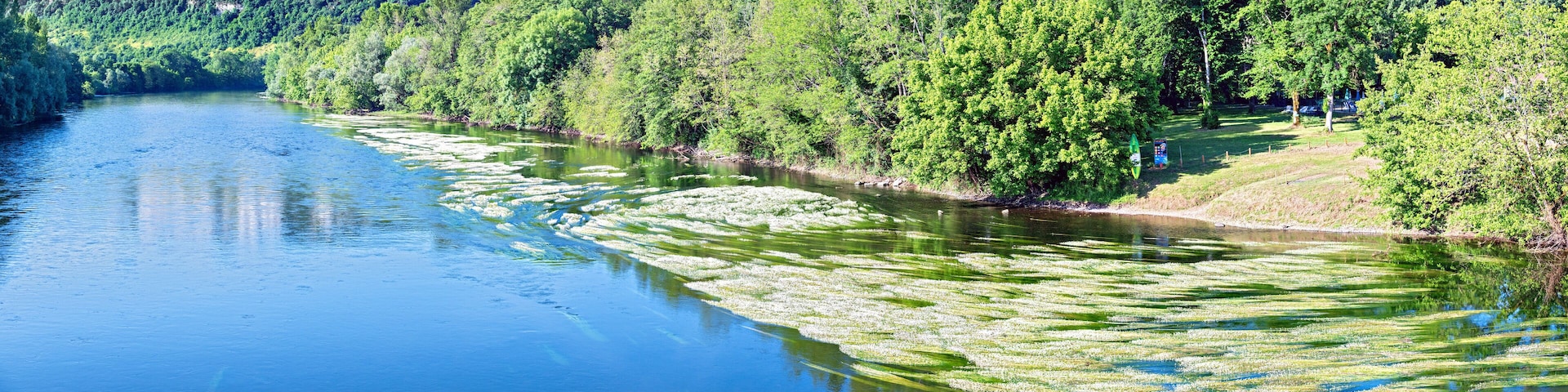 A river with clear water, surrounded by dense green forest and a rocky cliff.