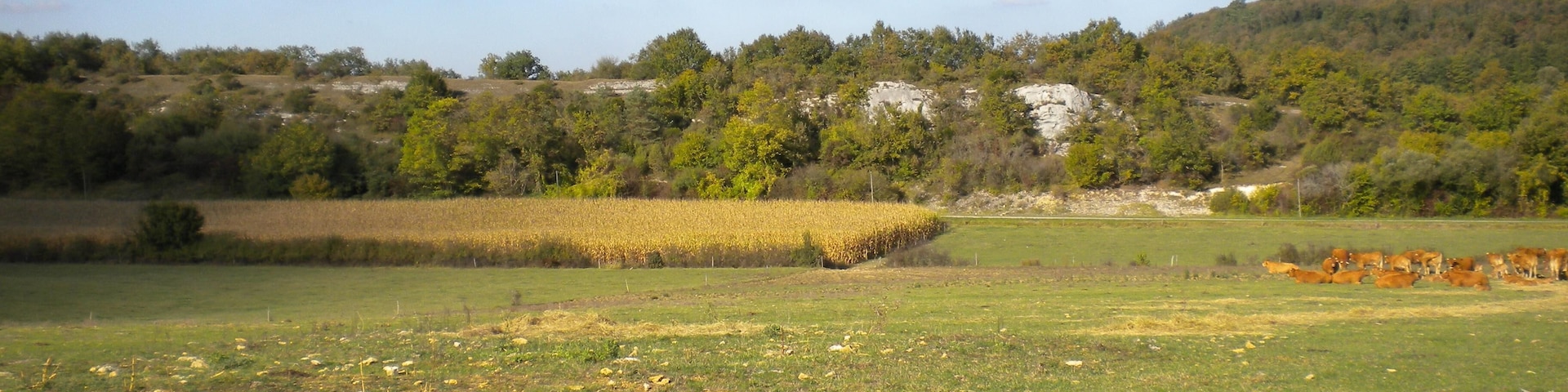 The northwestern termination of the Mareuil anticline. Visible is the Upper Turonian (Angoumian) limestone cliff dipping 35° to the northnortheast.
