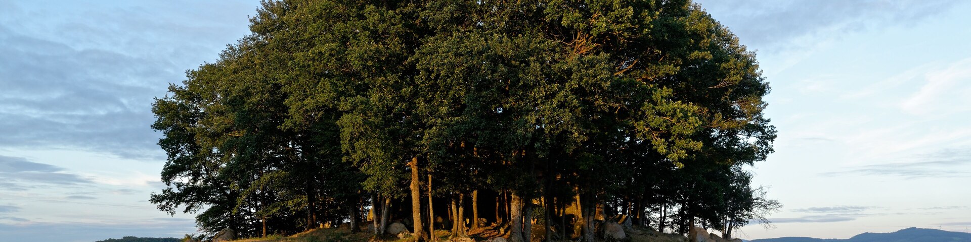 Petit bois abritant un chaos granitique au lieu-dit Les Fours, à Arronnes, dans l'Allier.