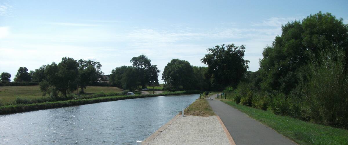 A river with a paved walkway alongside it, bordered by trees and greenery.