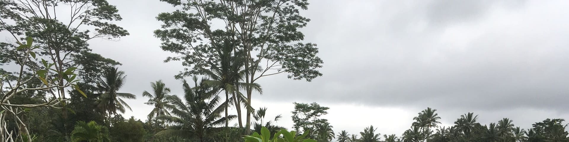 A wonderful hotel with beautiful rooms
You can see rice field All around you
It’s great and peaceful place