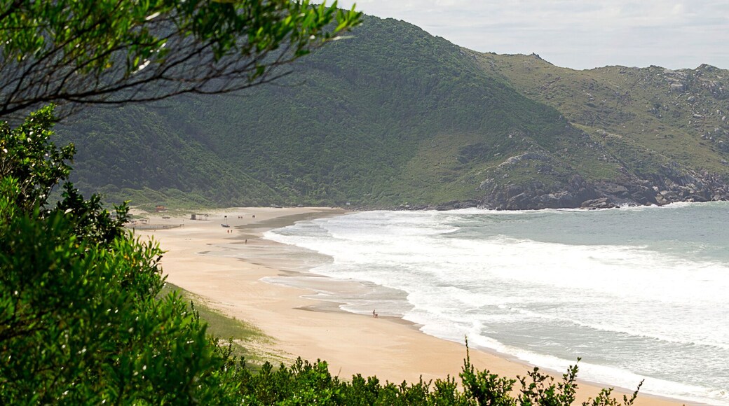 ๋ผ๊ณ ์ธํ