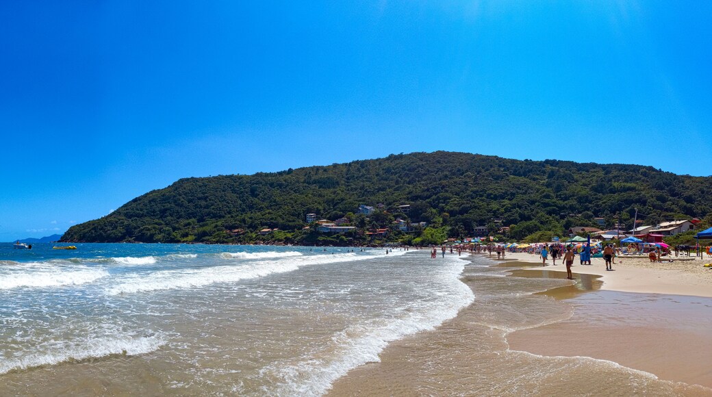 ๋ผ๊ณ ์ธํ