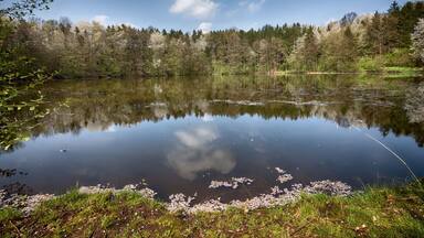 Das große Seeloch hat einen Umfang von etwa 650 Metern und ist mit Wasser gefüllt und hat weder einen Zu- noch einen Ablauf. Die tiefste Stelle wurde in der Mitte des Seelochs mit 16 Metern gemessen. Das Seeloch zählt zu den Buntsandsteinerdfällen.