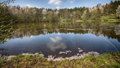 Das große Seeloch hat einen Umfang von etwa 650 Metern und ist mit Wasser gefüllt und hat weder einen Zu- noch einen Ablauf. Die tiefste Stelle wurde in der Mitte des Seelochs mit 16 Metern gemessen. Das Seeloch zählt zu den Buntsandsteinerdfällen.