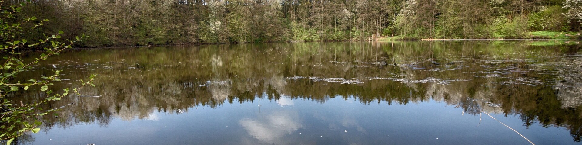 Das große Seeloch hat einen Umfang von etwa 650 Metern und ist mit Wasser gefüllt und hat weder einen Zu- noch einen Ablauf. Die tiefste Stelle wurde in der Mitte des Seelochs mit 16 Metern gemessen. Das Seeloch zählt zu den Buntsandsteinerdfällen.