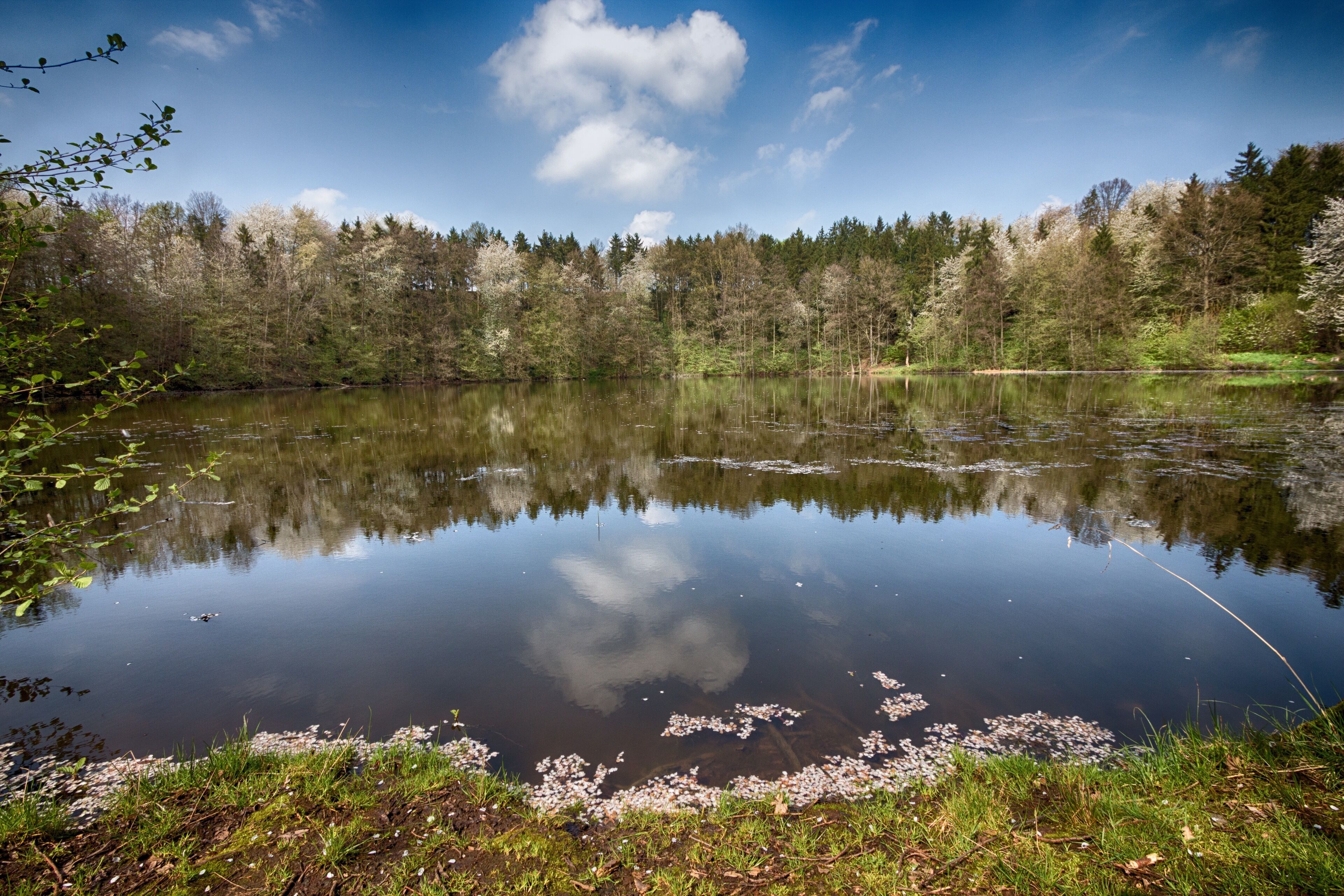 A calm lake surrounded by dense forest, reflecting the sky and trees.