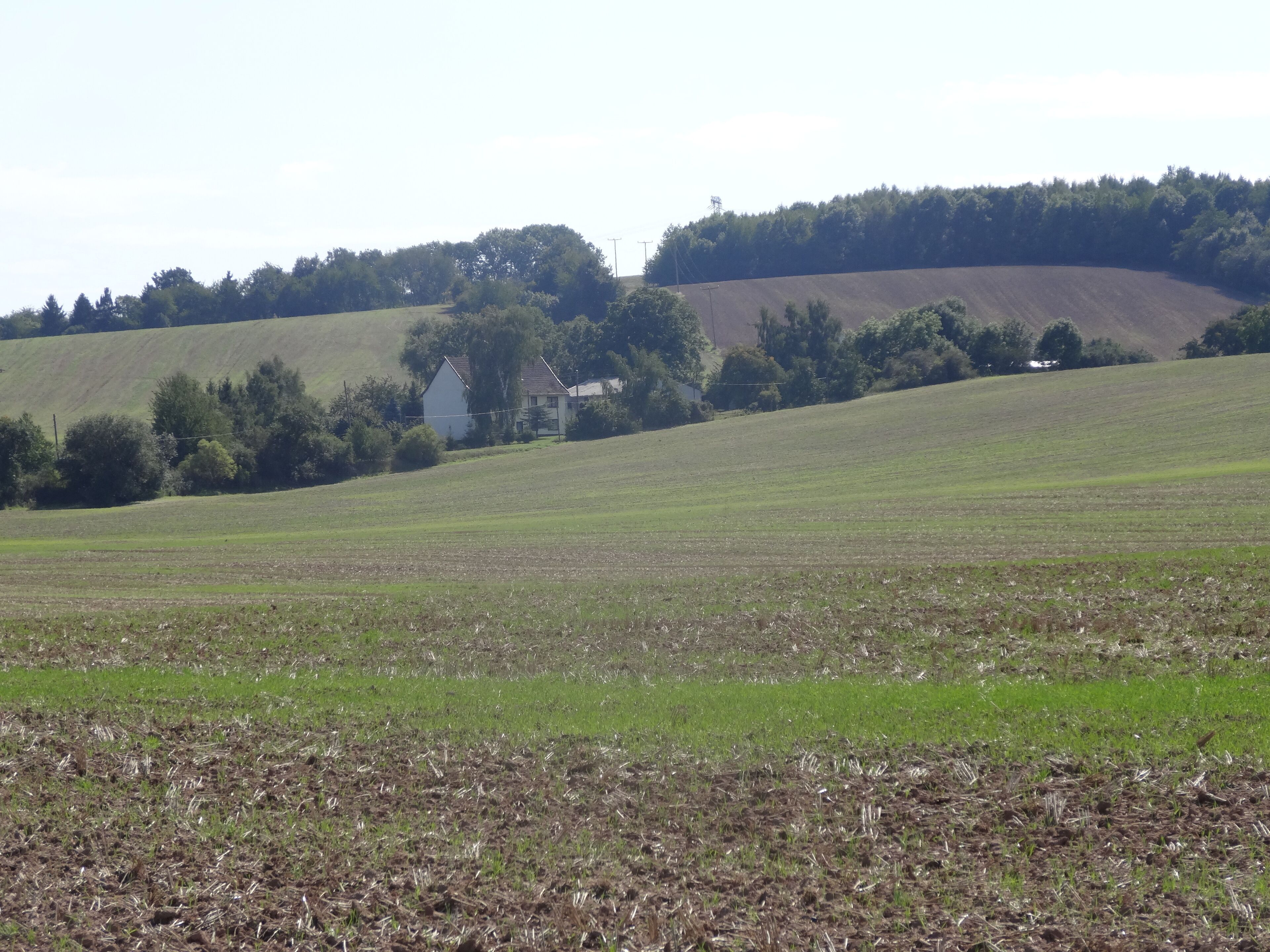 Schern (Werther), Thuringia, Germany