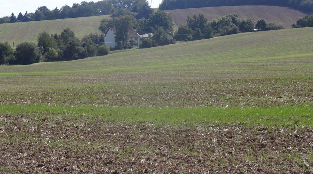 Schern (Werther), Thuringia, Germany