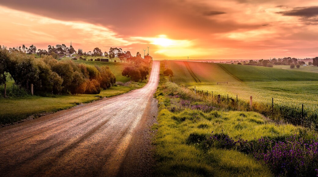Sunset on country road in Gawler in South Australia