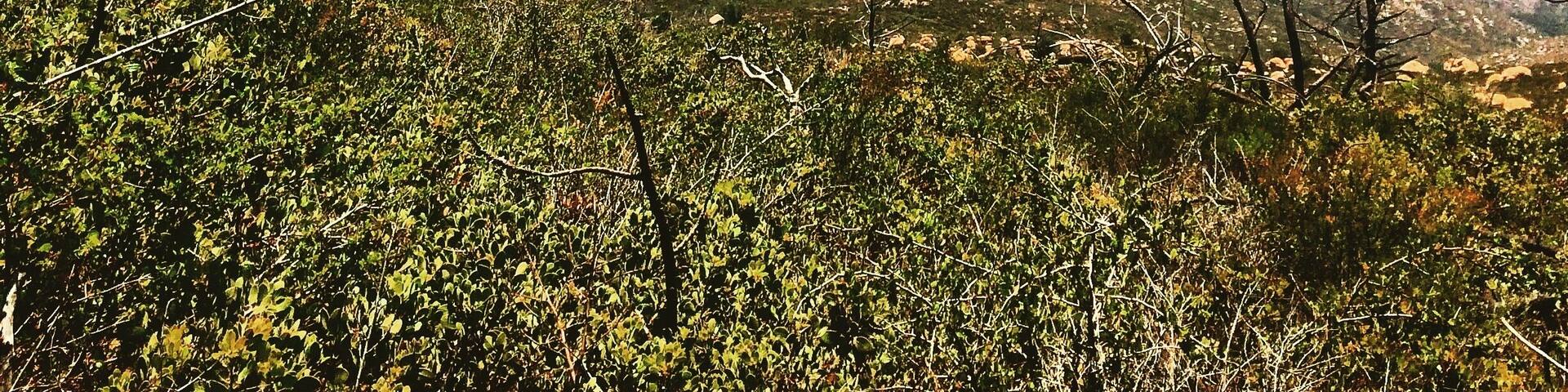 Beautiful view of Black Canyon from top of the hills near Ramona CA #hiking we got here thru dirt roads in our Rubicon