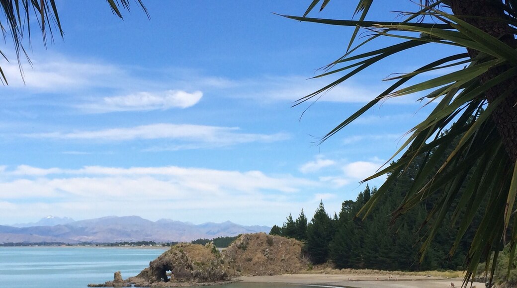 Whites bay, great swimming spot in Marlborough if you don't mind it a bit fresh in the water. It's beautiful, natural, lovely scenery plus a few good hikes to do.